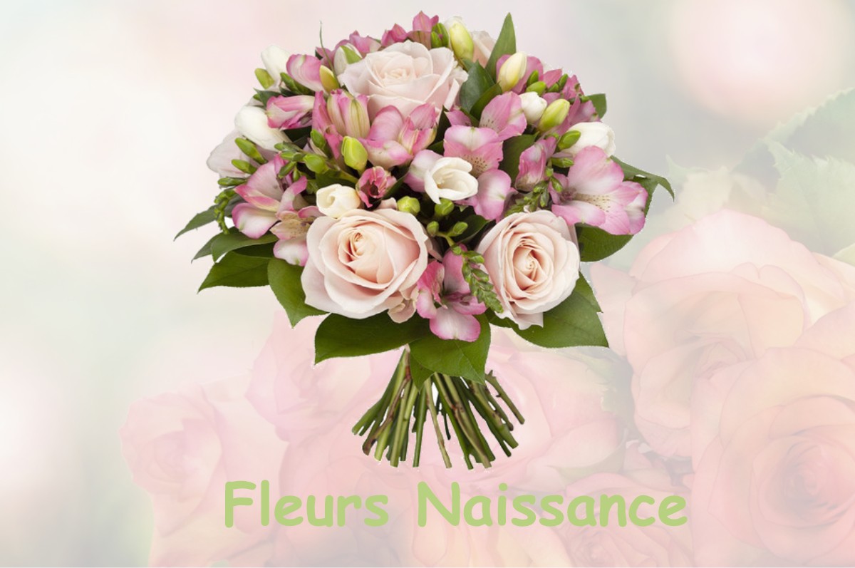 fleurs naissance VAUX-SUR-POLIGNY
